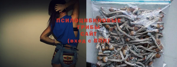 гидра Абаза