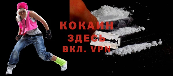 гидра Абаза