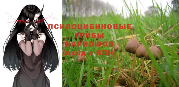 прущий лед Алексеевка