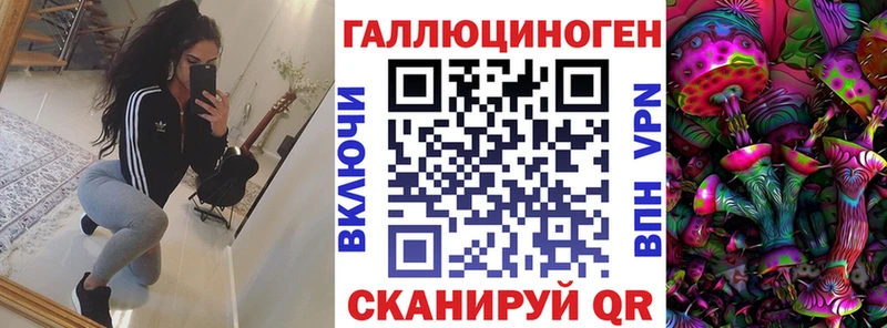 Псилоцибиновые грибы Psilocybe  где купить наркоту  Ясный 